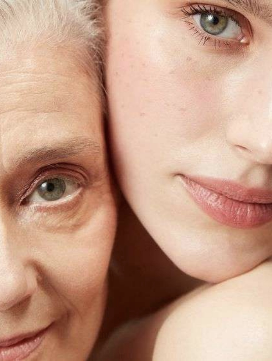 Skin Bioremodelling